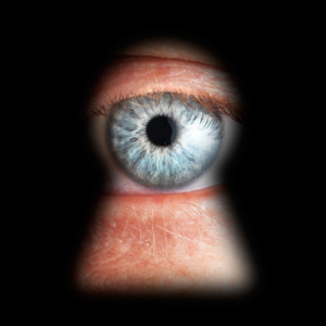 O labirinto global da segurança da informação: Snowden herói. E agora qual a saída?