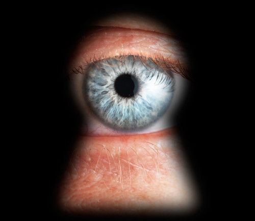 O labirinto global da segurança da informação: Snowden herói. E agora qual a saída?