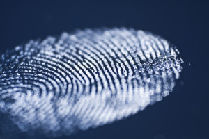 Principal fornecedor de sensores biométricos para bancos estará no CIAB FEBRABAN 2014