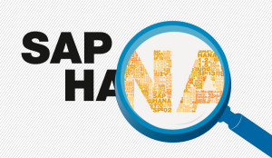  SAP HANA aumenta agilidade e poder de processamento de dados da Ariba 