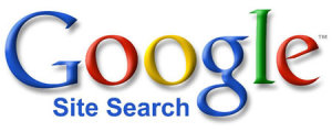 Cinco motivos para investir em Google Site Search