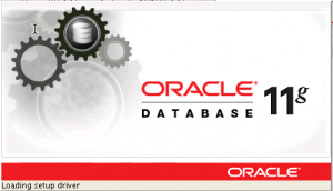 Figura - Problemas ao desinstalar Oracle 10g ou 11g Express Edition (XE) no Linux
